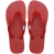 Ojotas Havaianas Top