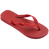 Ojotas Havaianas Top