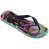 Ojotas Havaianas Top Star Wars