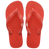 Ojotas Havaianas Top