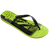 Ojotas Hombre Havaianas Top Athletic